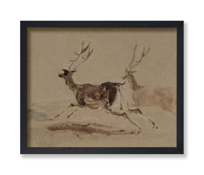 Two Stags Running