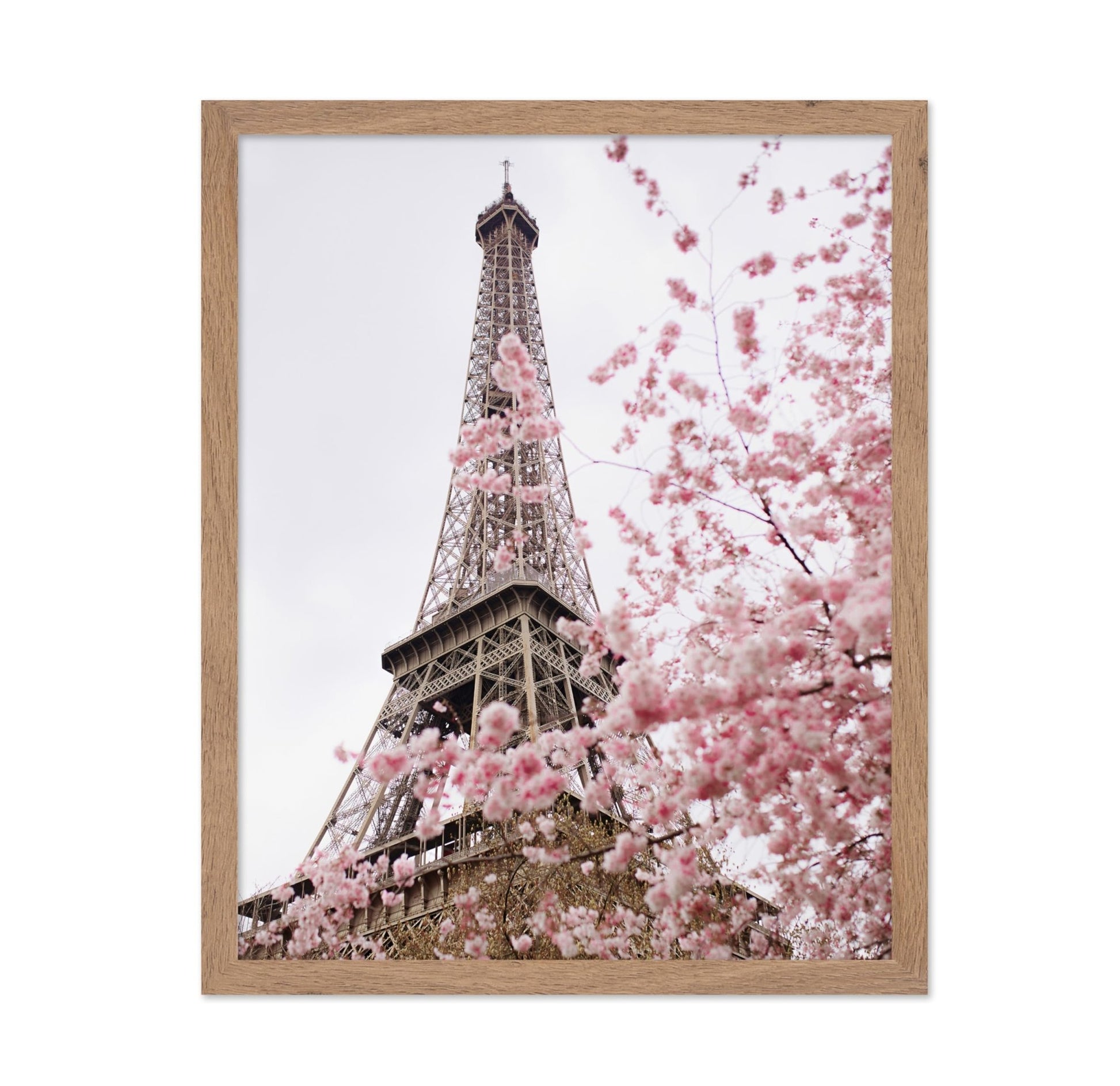 Blooming Paris