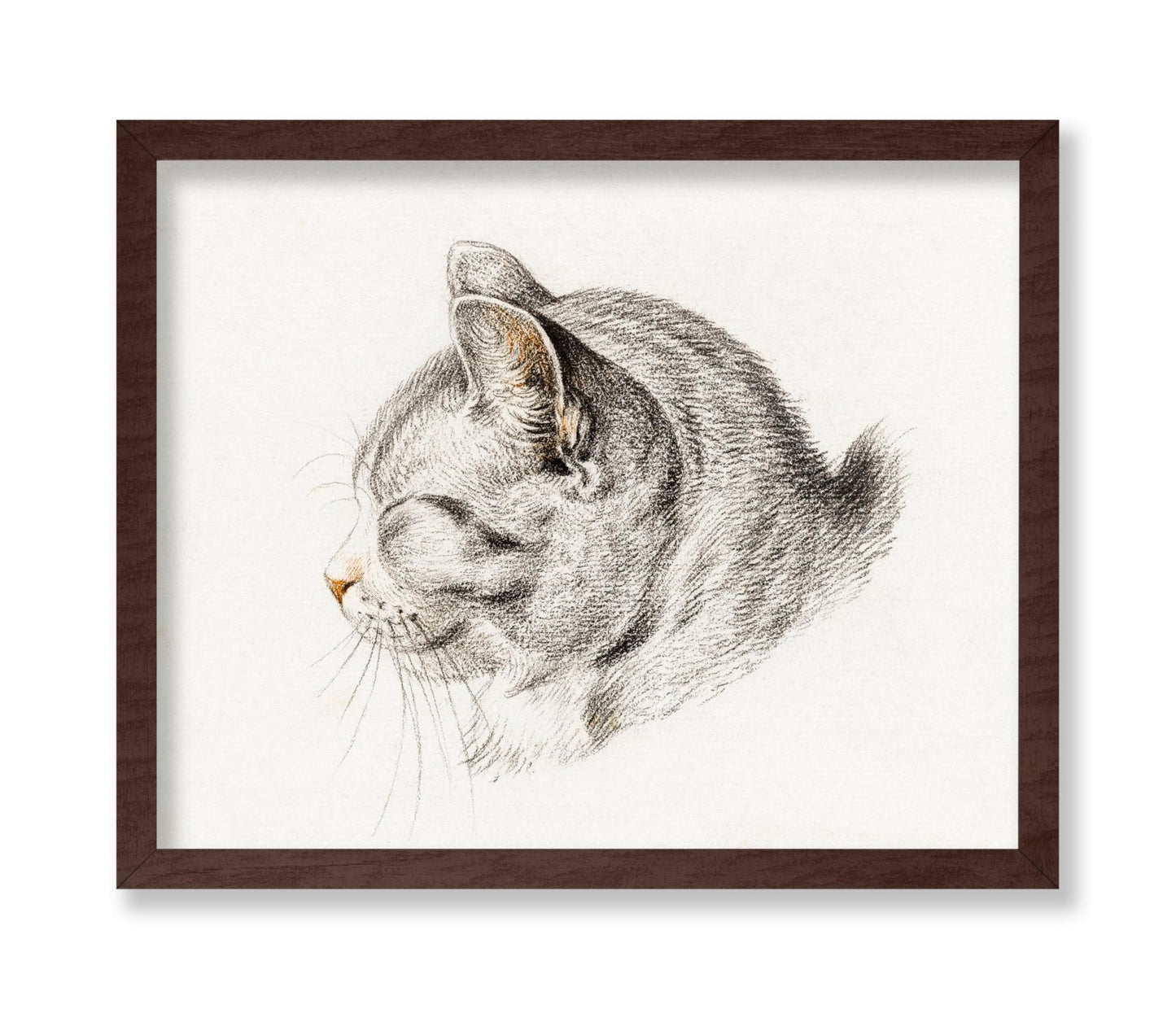 Sketch of A Cat