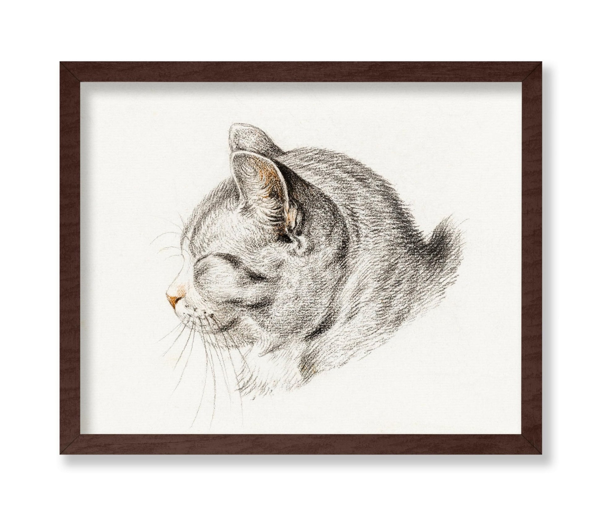 Sketch of A Cat