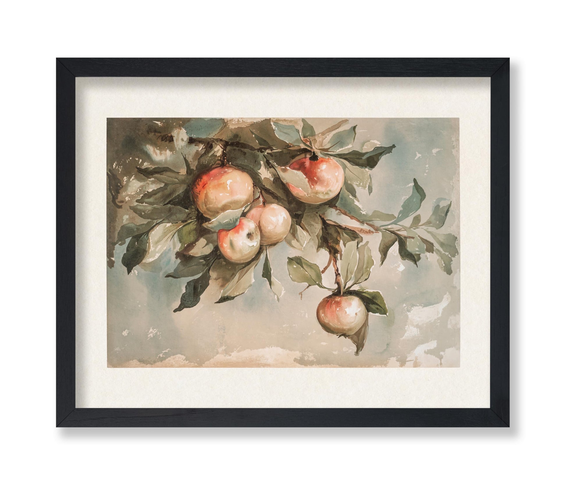 Study of Apples