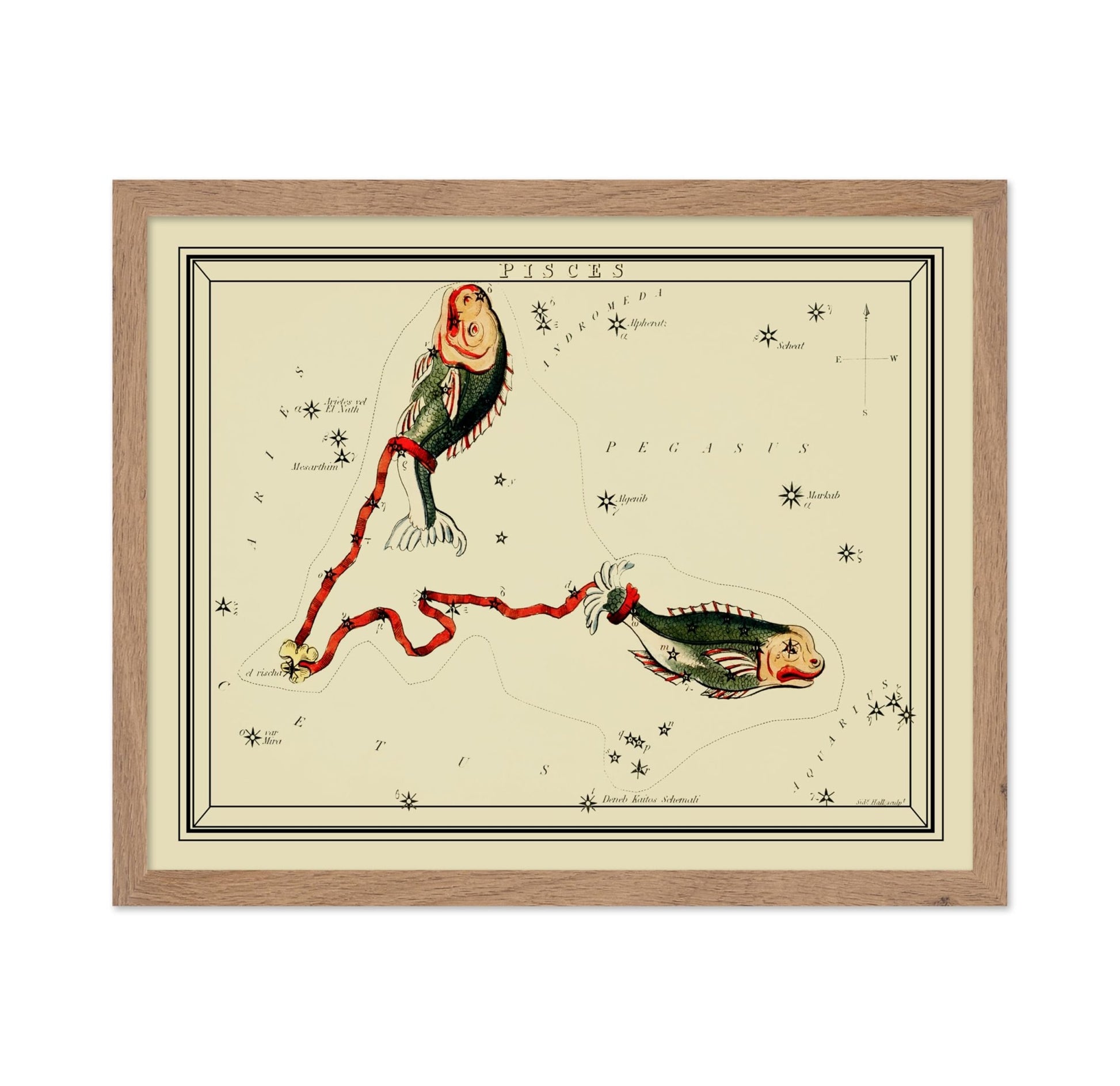 Urania's Mirror Pisces