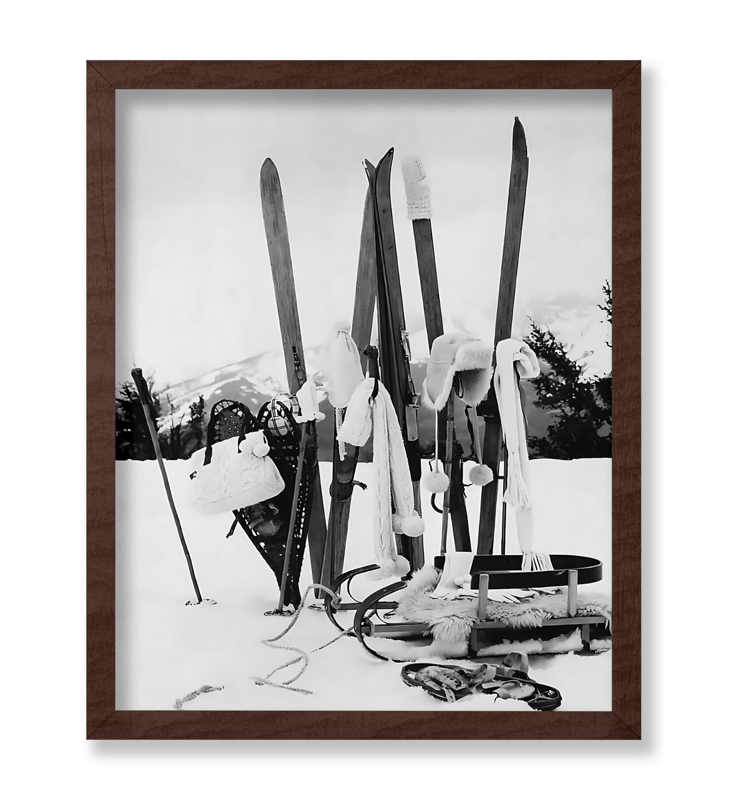 Ski Gears