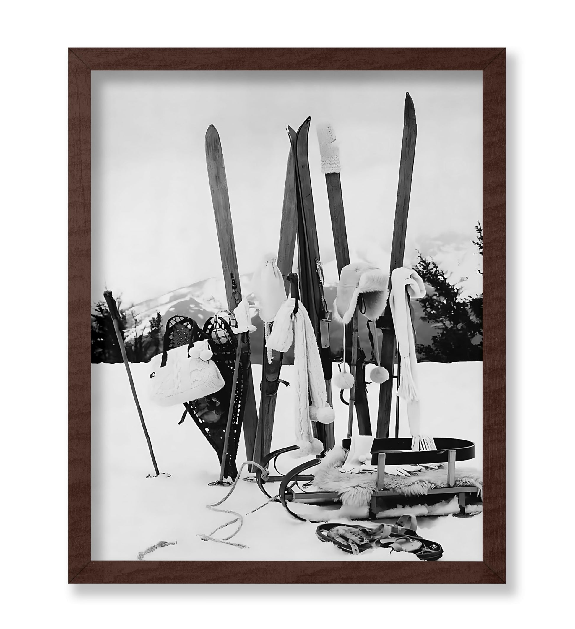 Ski Gears