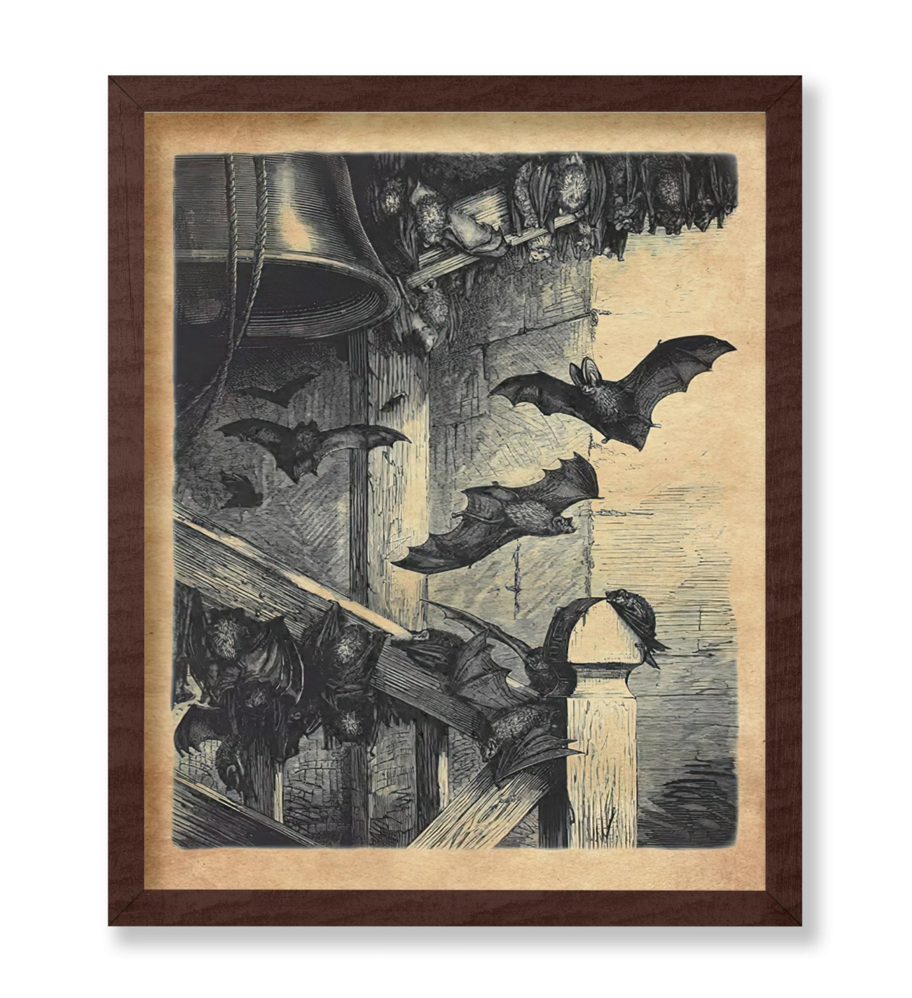Bats In The Belfry