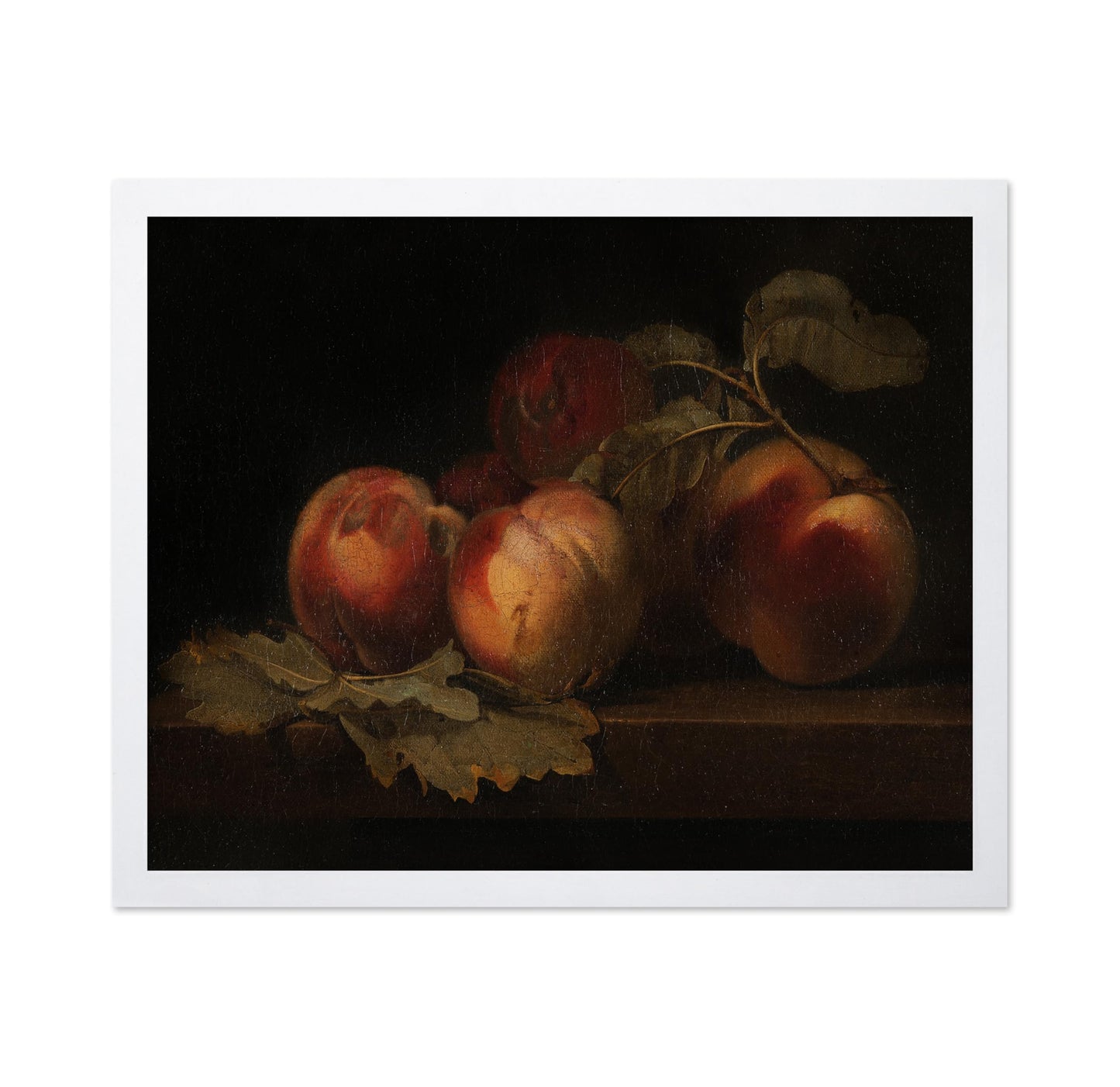 Still Life With Peaches