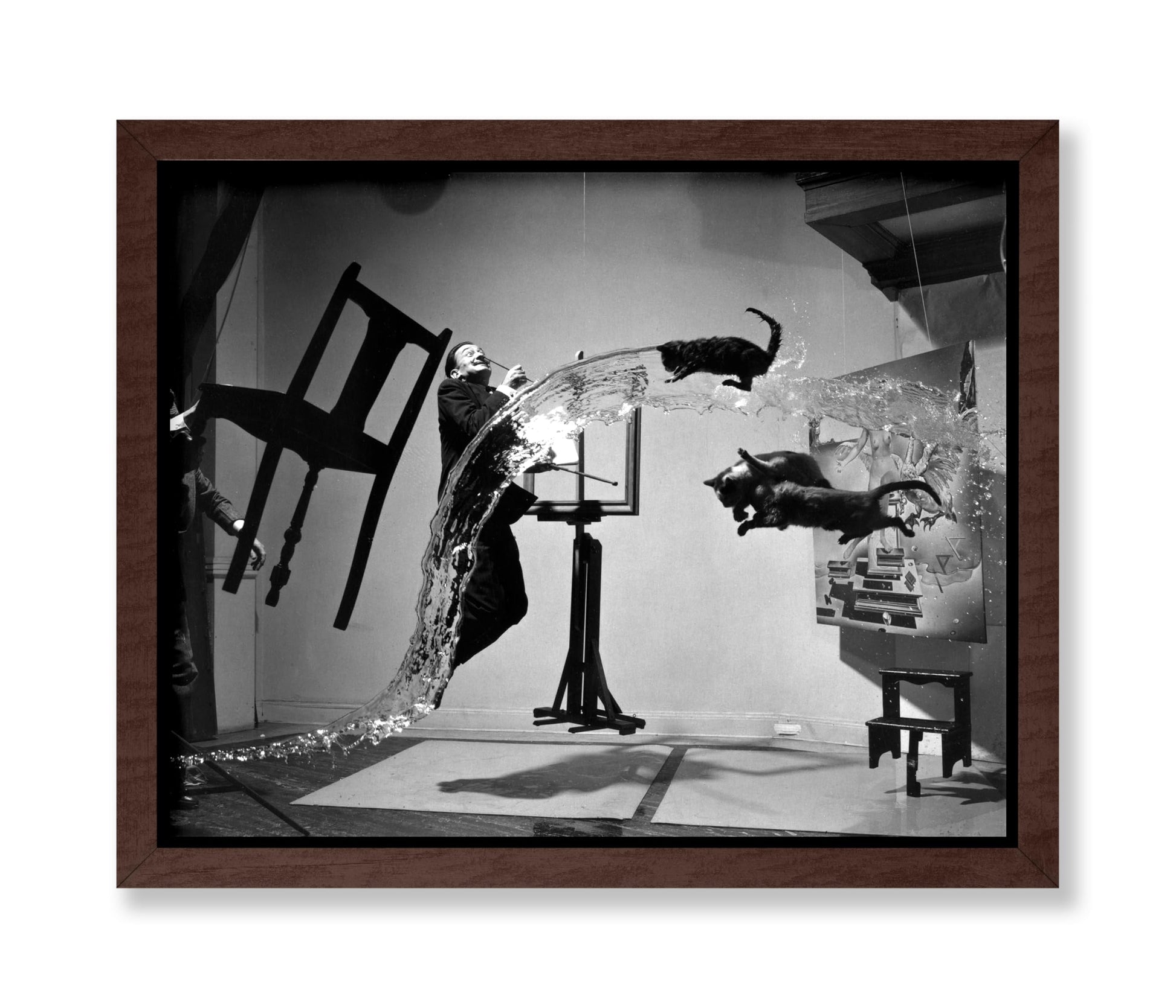Salvador Dali Atomicus