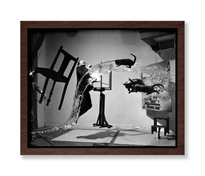 Salvador Dali Atomicus