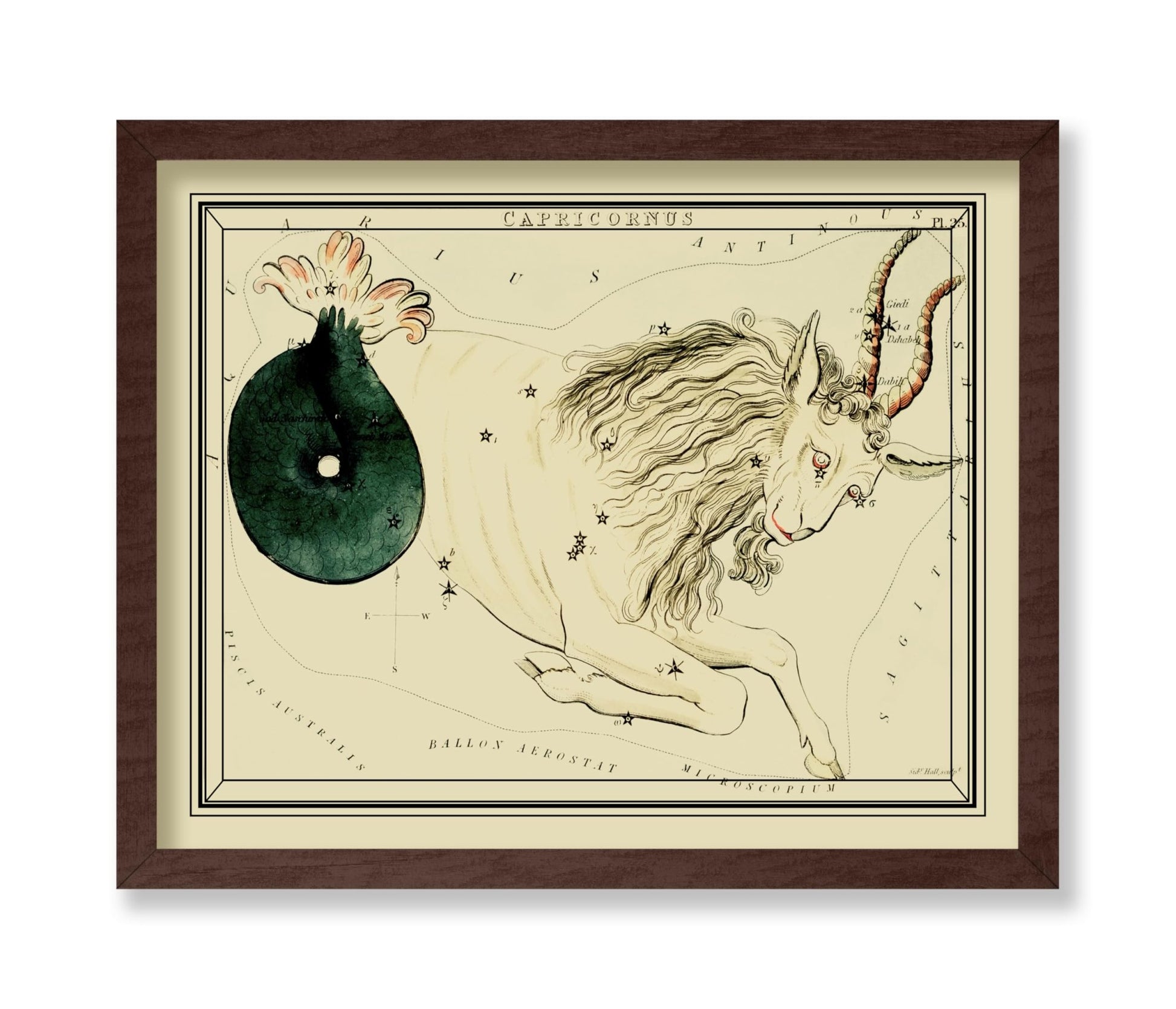 Urania's Mirror Capricornus
