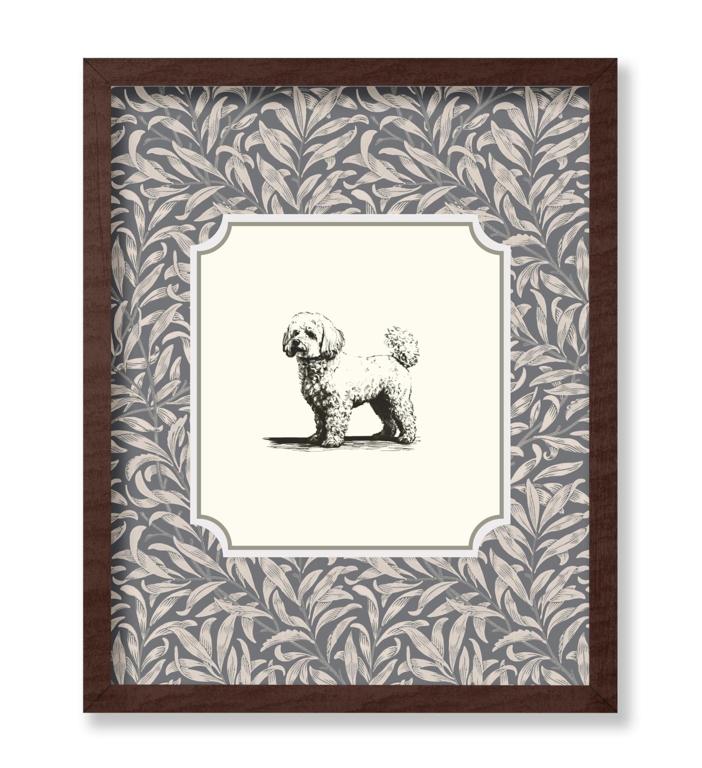 Bichon Frise