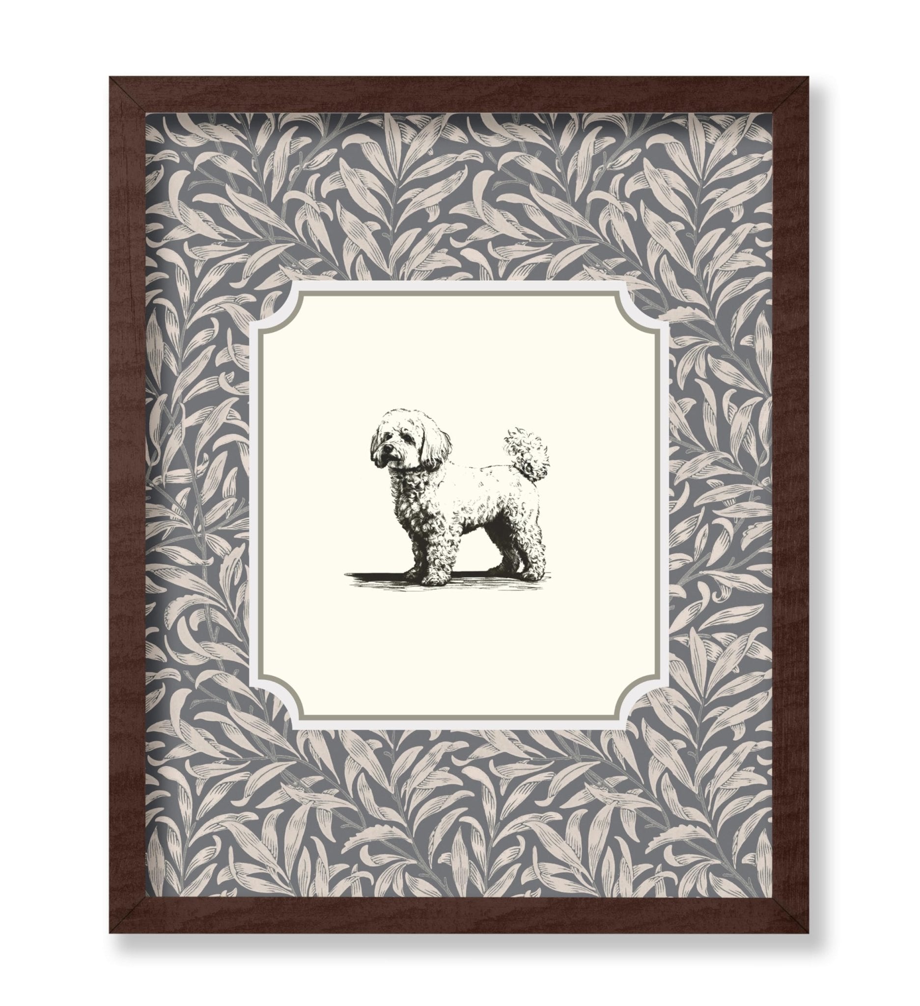 Bichon Frise