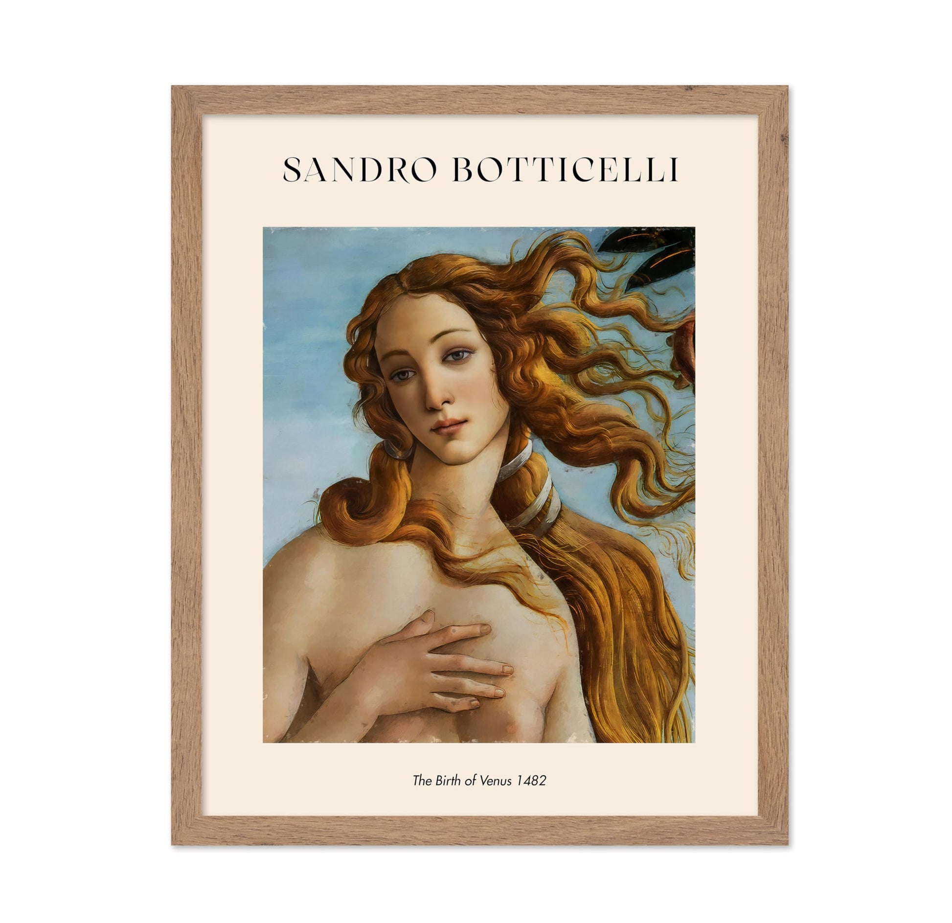 Sandro Botticelli - The Birth of Venus No3