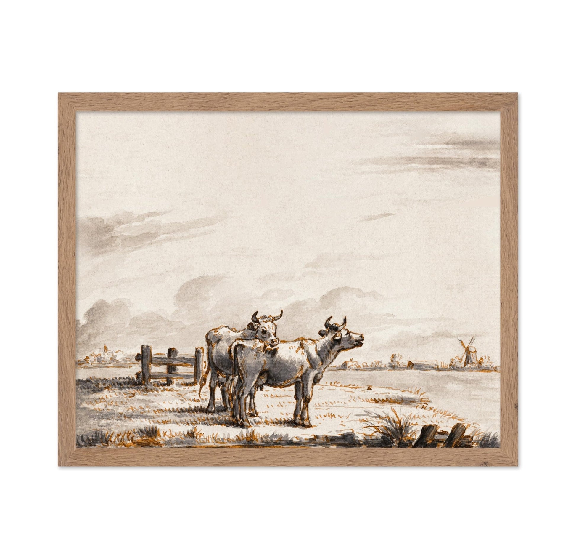 Two Cows in Pasture