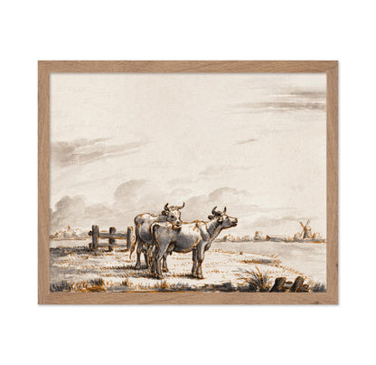 Two Cows in Pasture