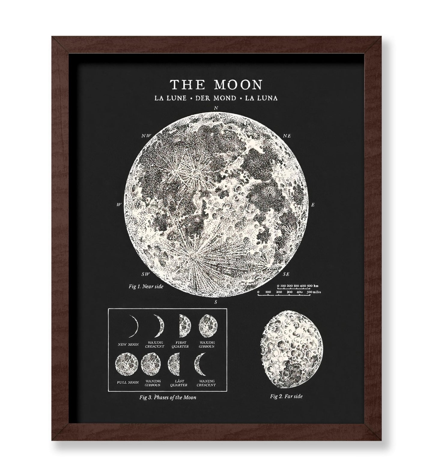 The Moon No3