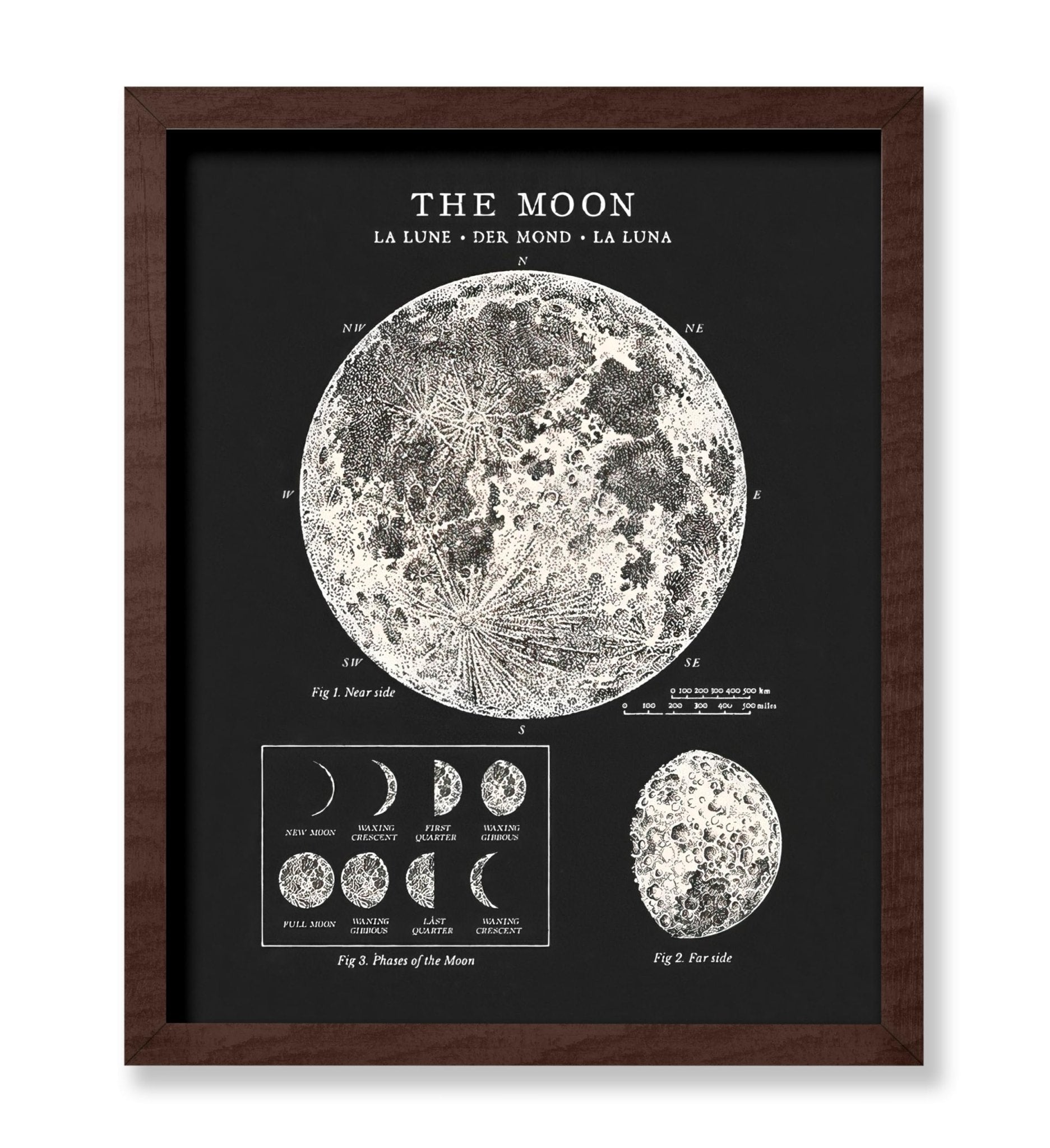 The Moon No3
