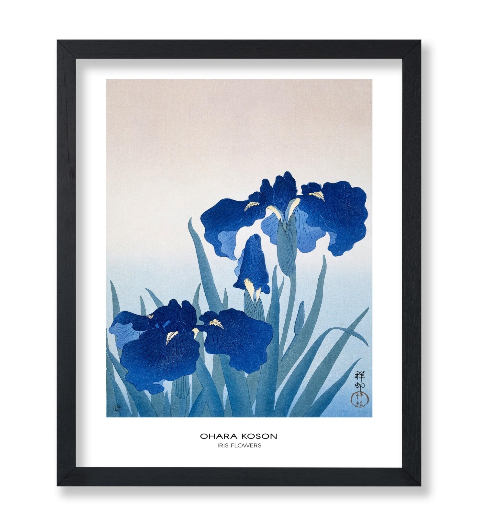 Ohara Koson - Iris Flower