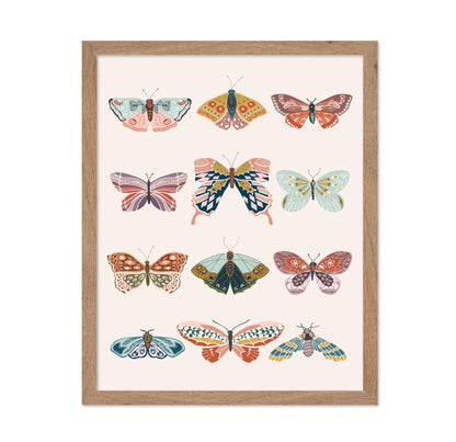 Butterflies No1