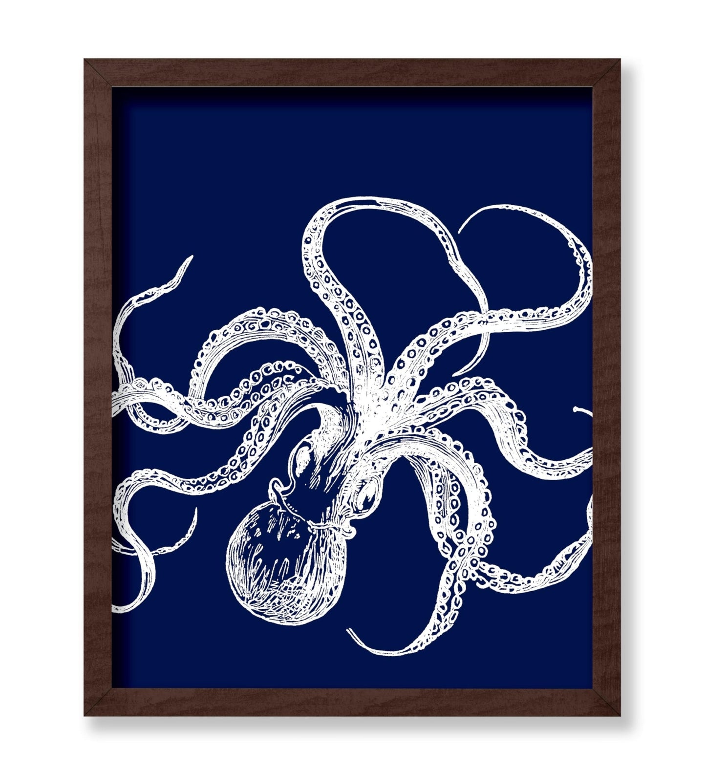 Octopus No1
