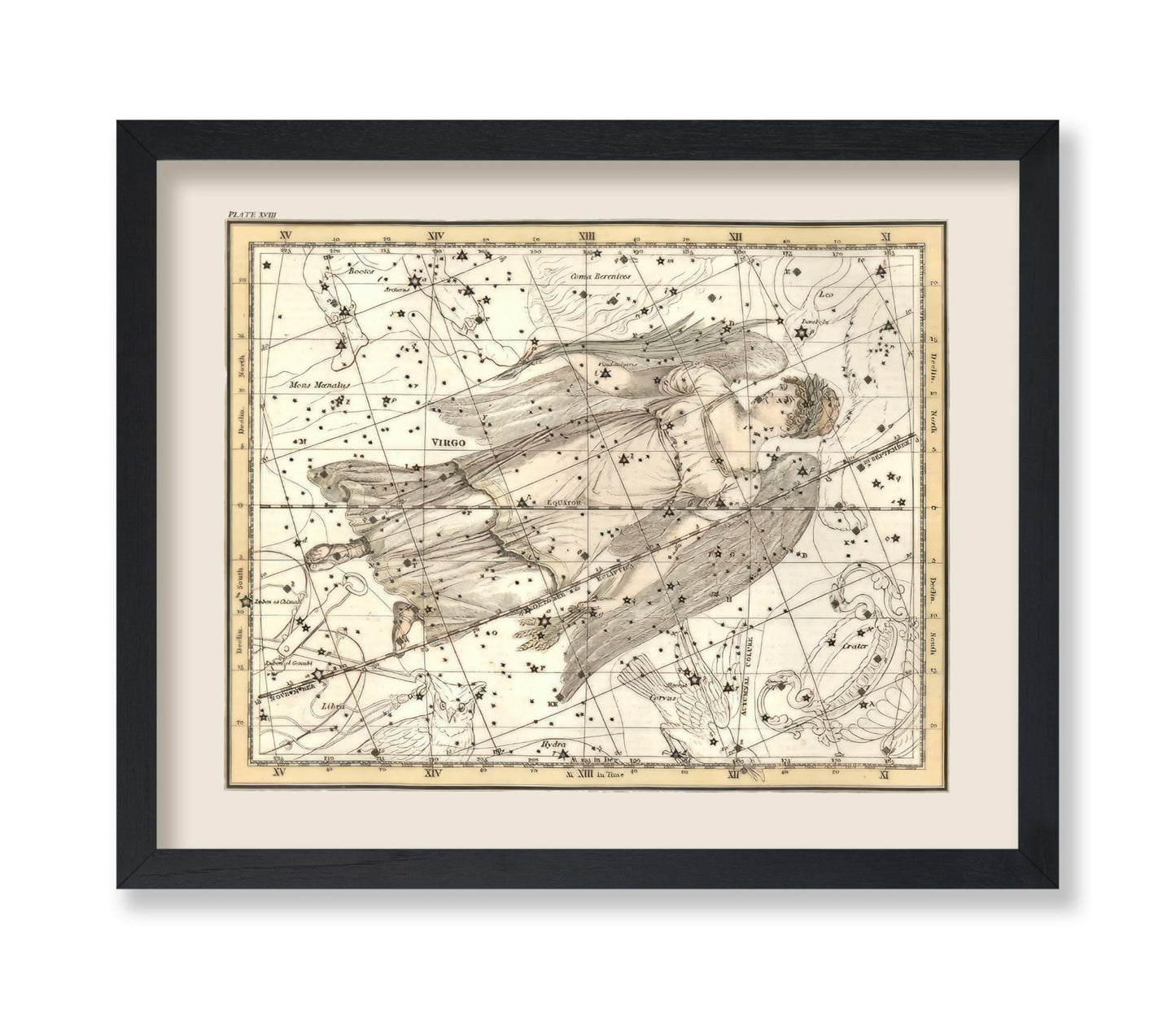 Virgo Zodiac Sign