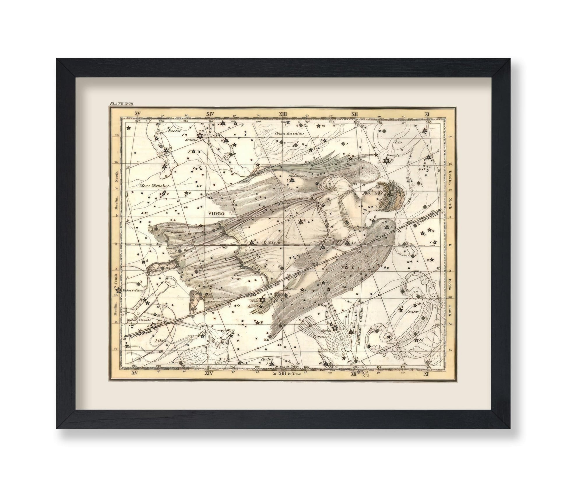 Virgo Zodiac Sign