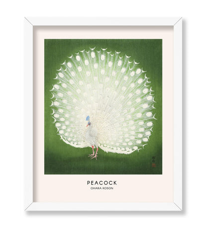 Ohara Koson - Peacock No1