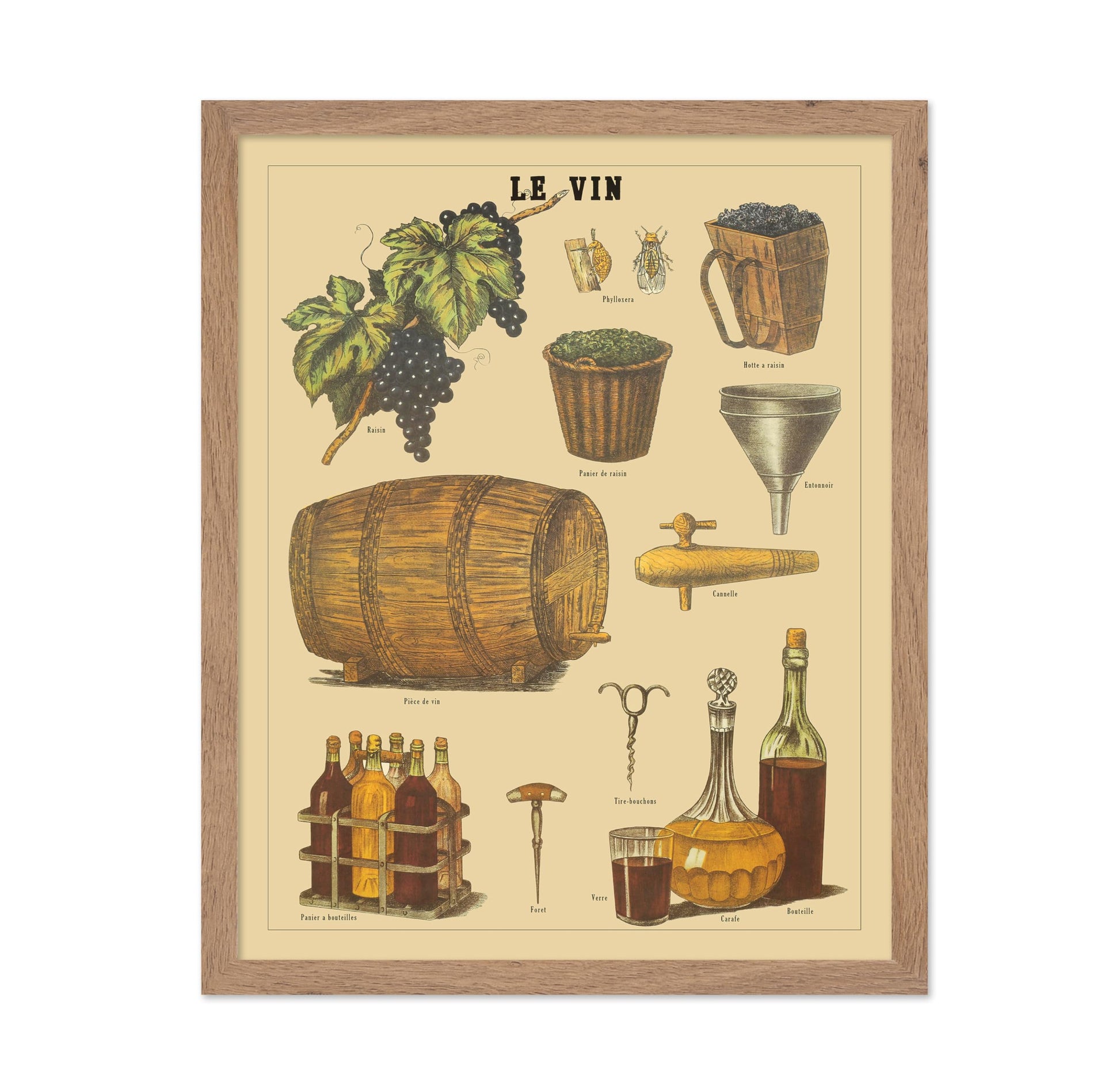 Le Vin - French Wine