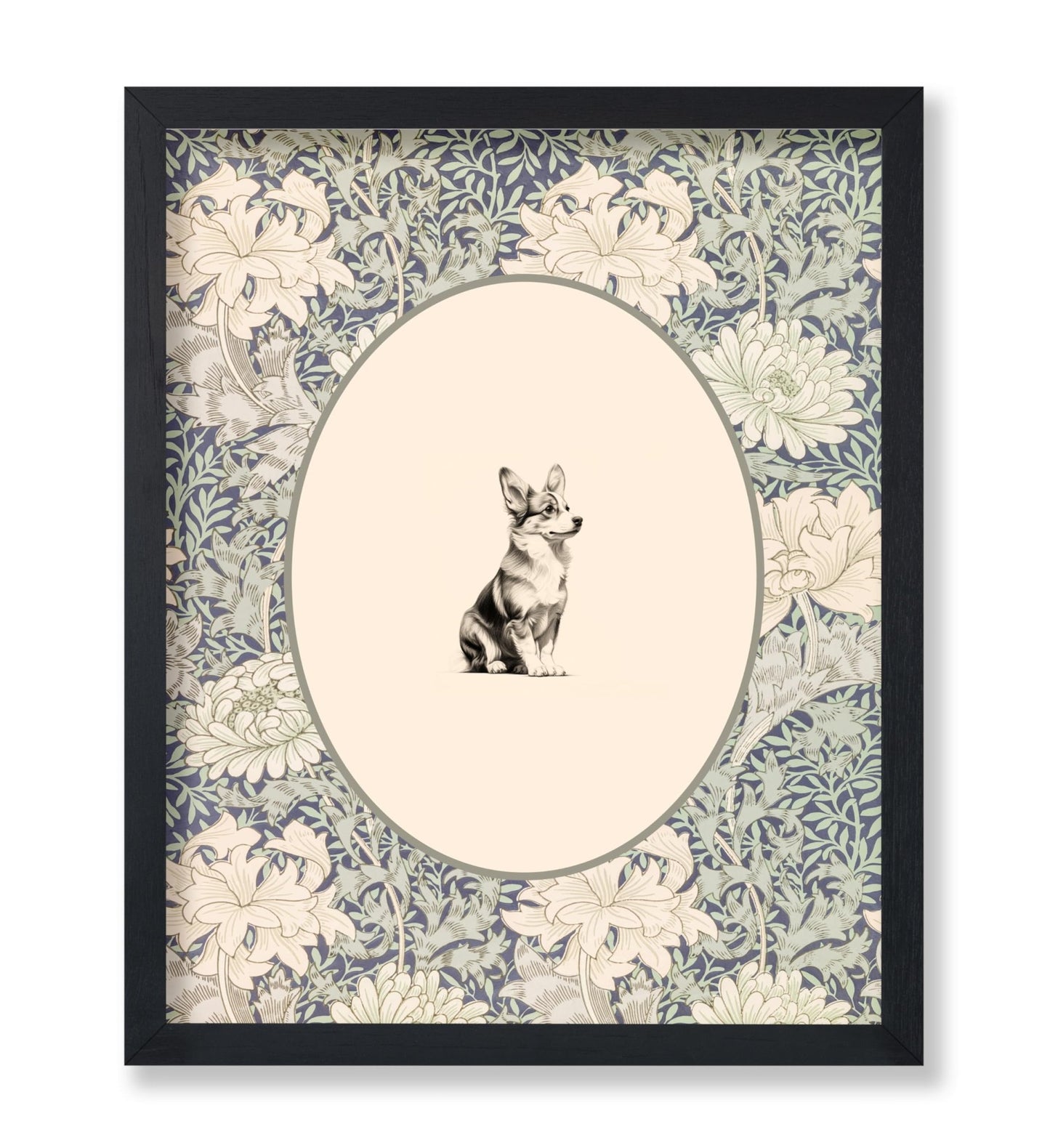 Pembroke Welsh Corgi