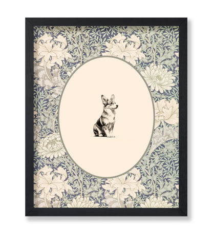 Pembroke Welsh Corgi