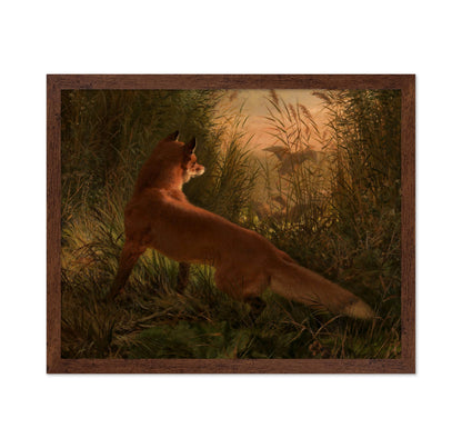 A Fox