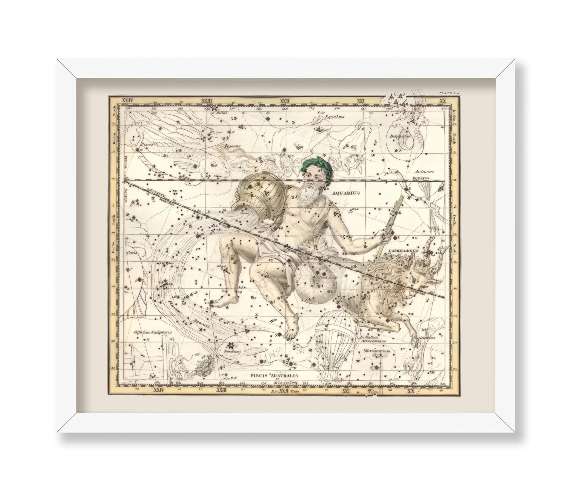 Capricorn & Aquarius Zodiac