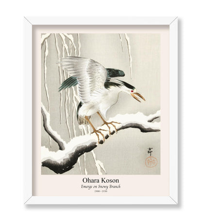 Ohara Koson - Emerge on Snowy Branch