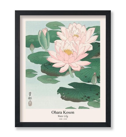 Ohara Koson - Water Lily No2