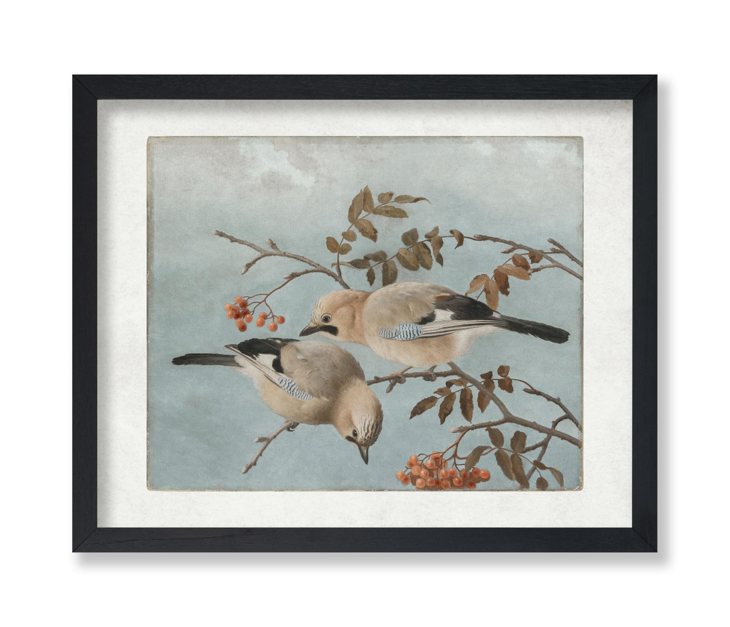 Ferdinand von Wright - Jays