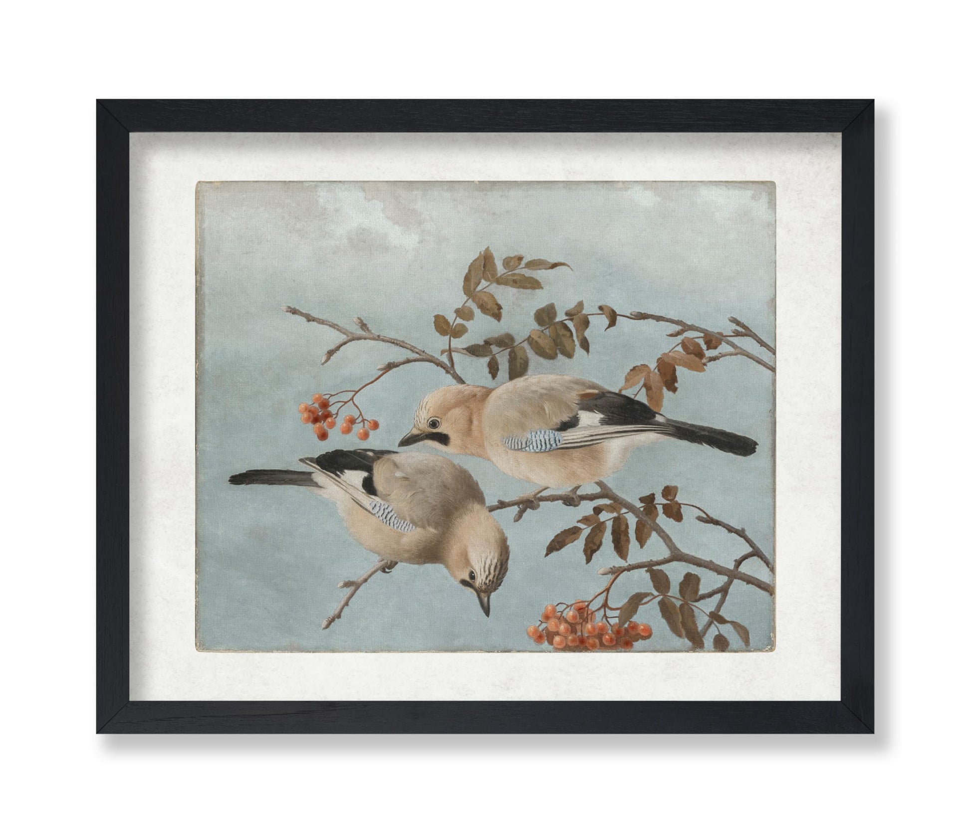 Ferdinand von Wright - Jays