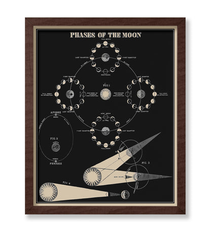 Phases of the Moon No1