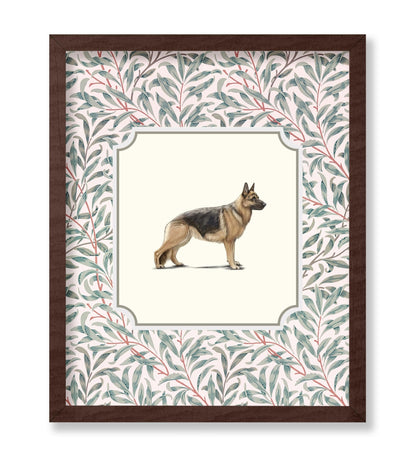 German Shepherd