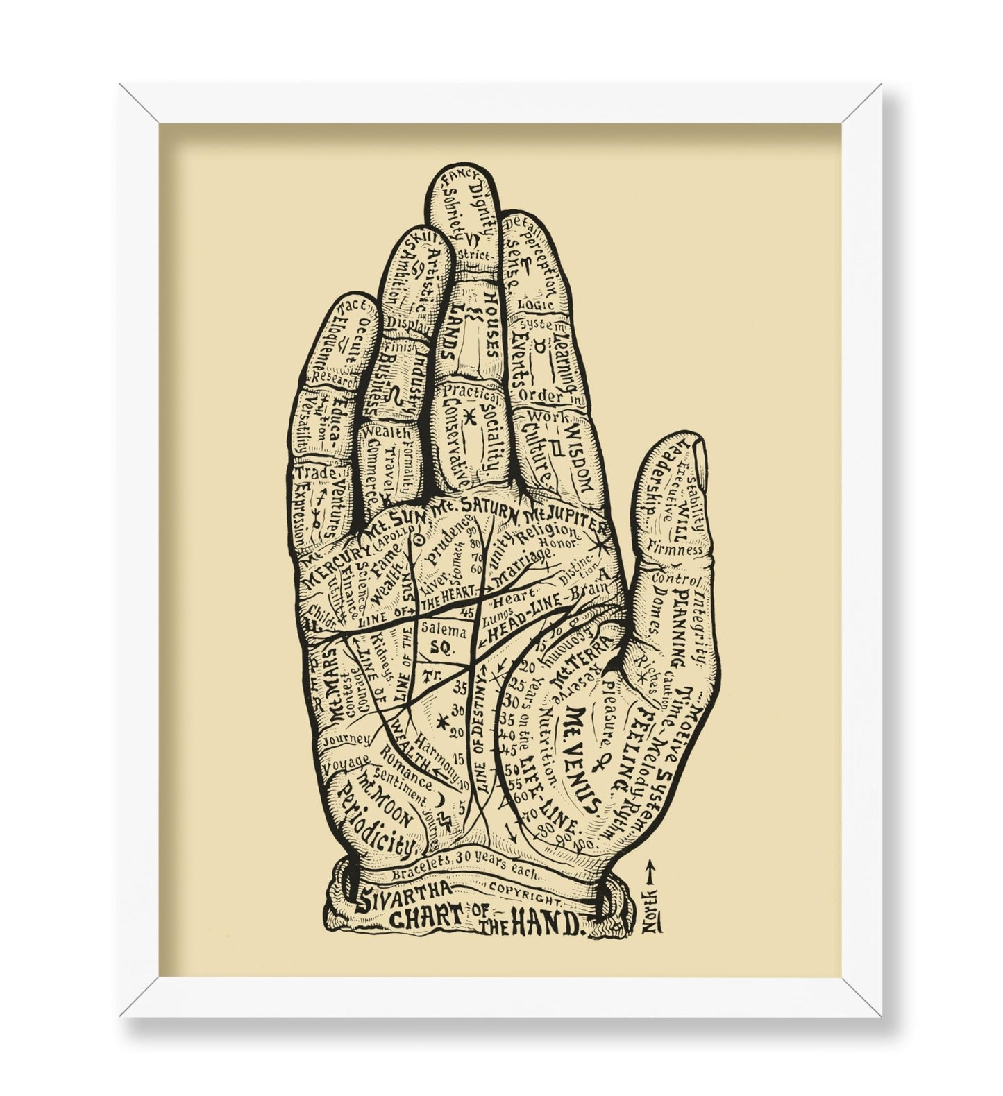 Chart of the Hand