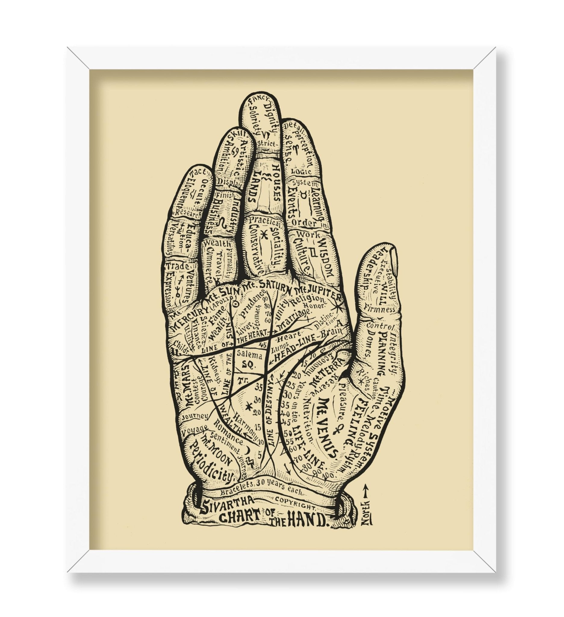 Chart of the Hand