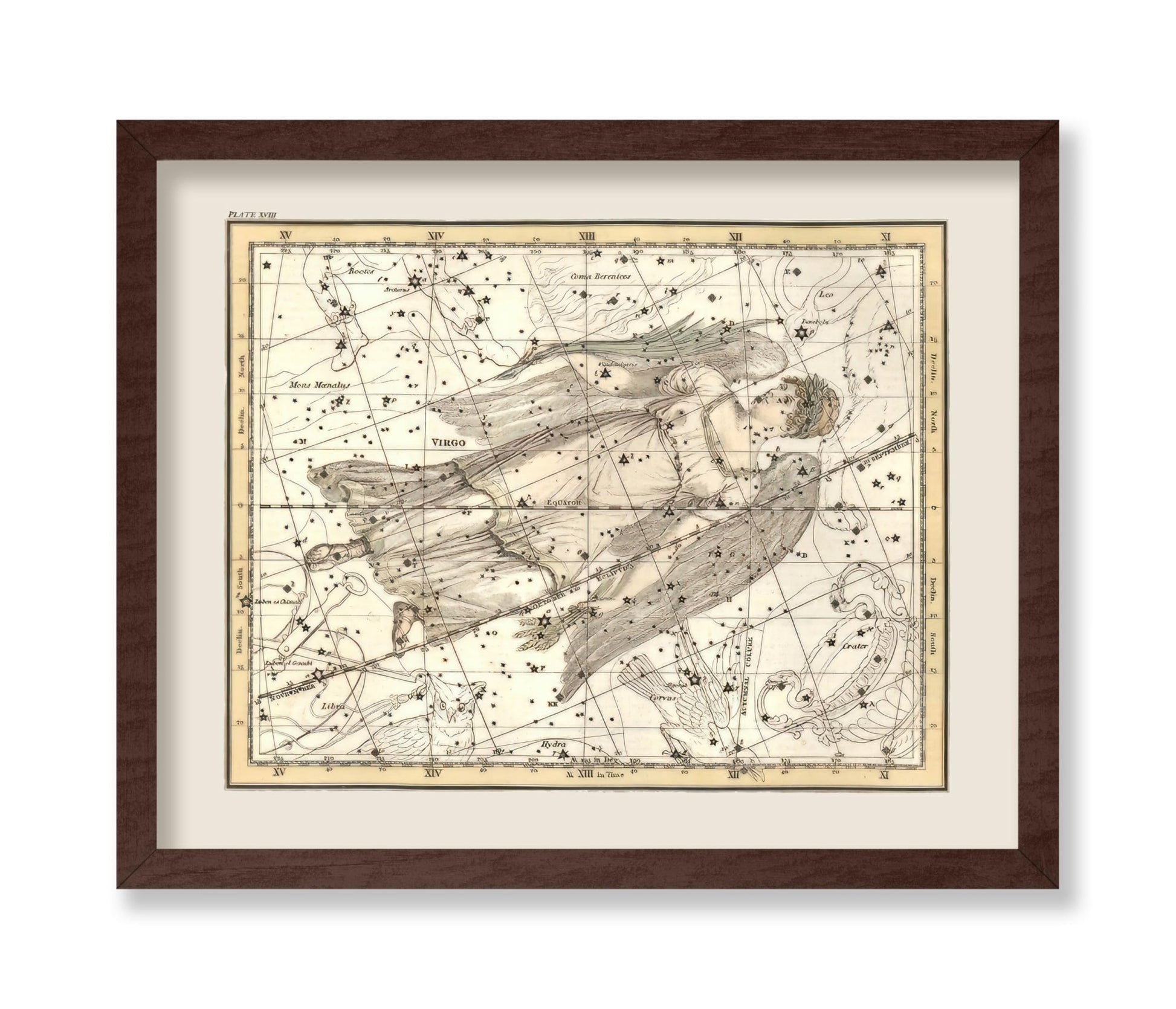 Virgo Zodiac Sign