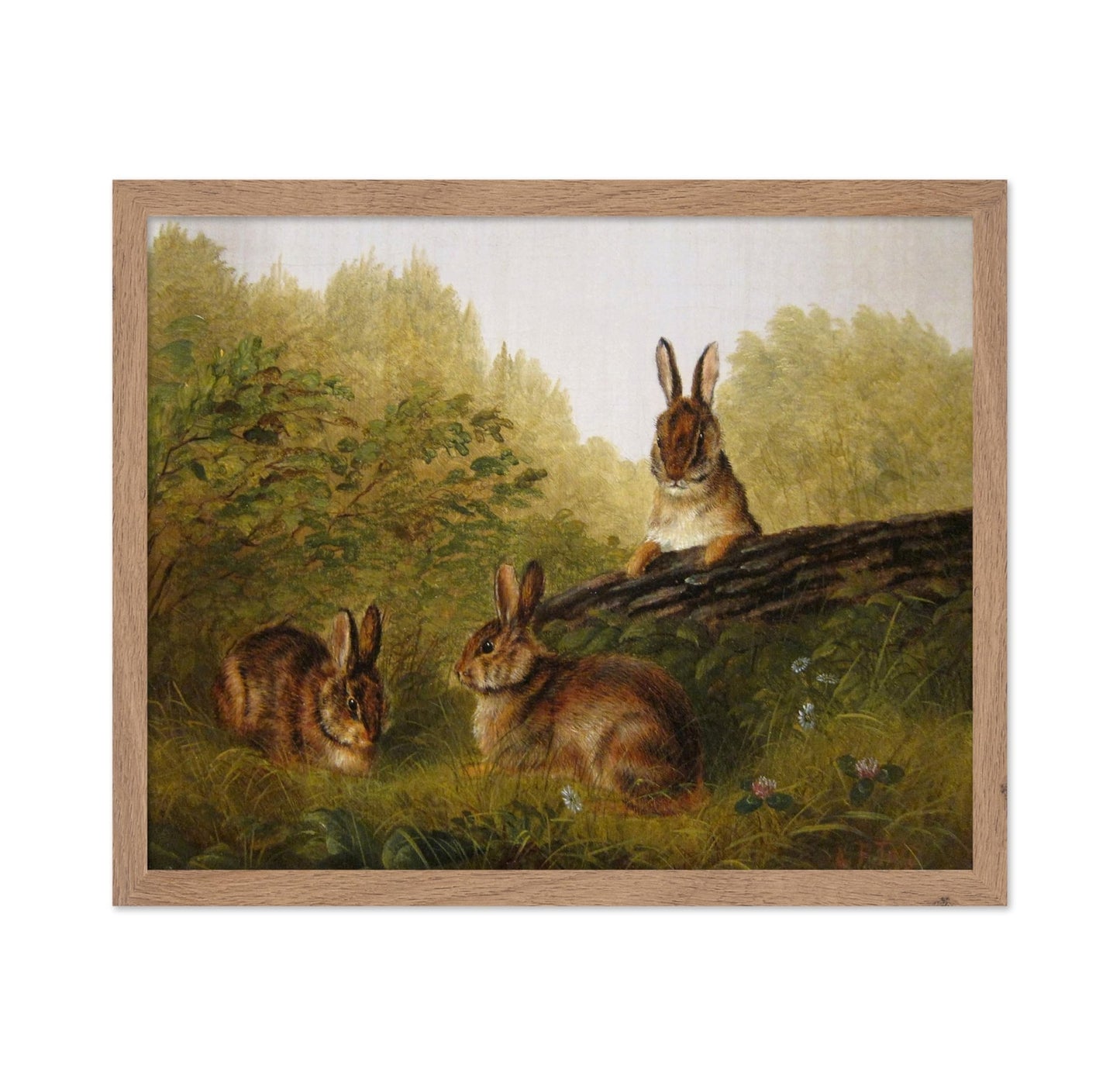 Rabbits on A Log