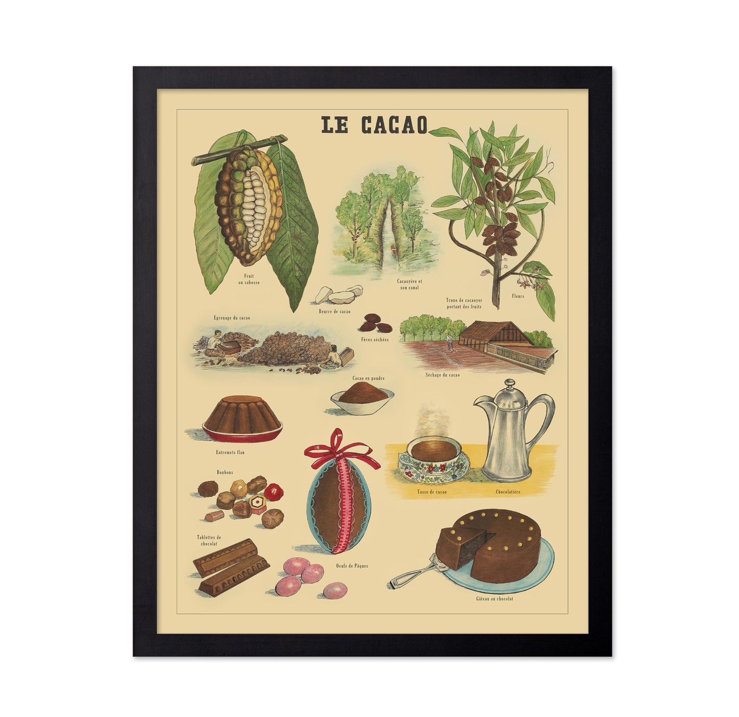 Le Cacao