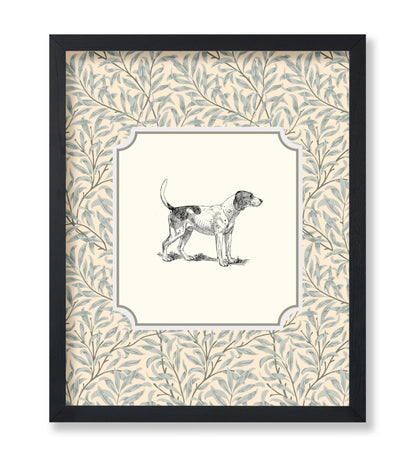 Foxhound Dog