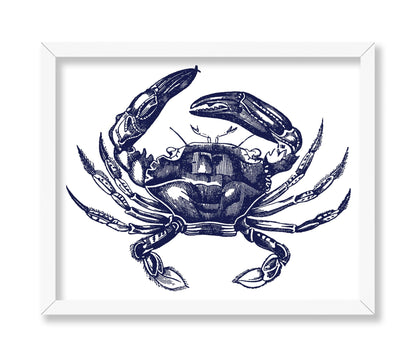 Navy Blue Crab