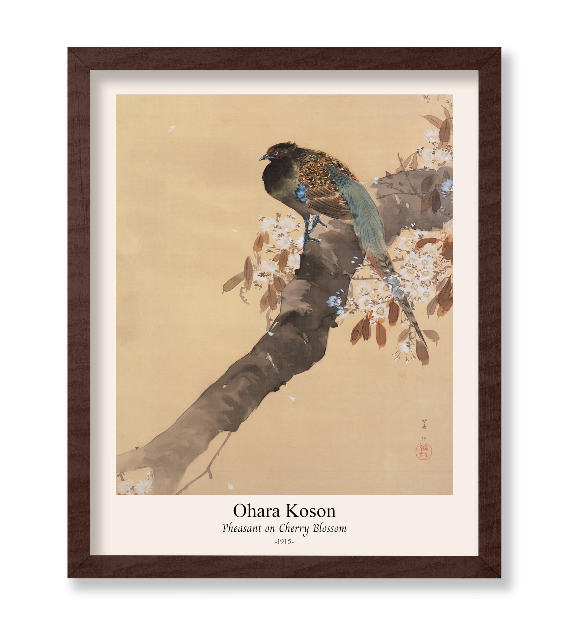 Ohara Koson - Pheasant on Cherry Blossom