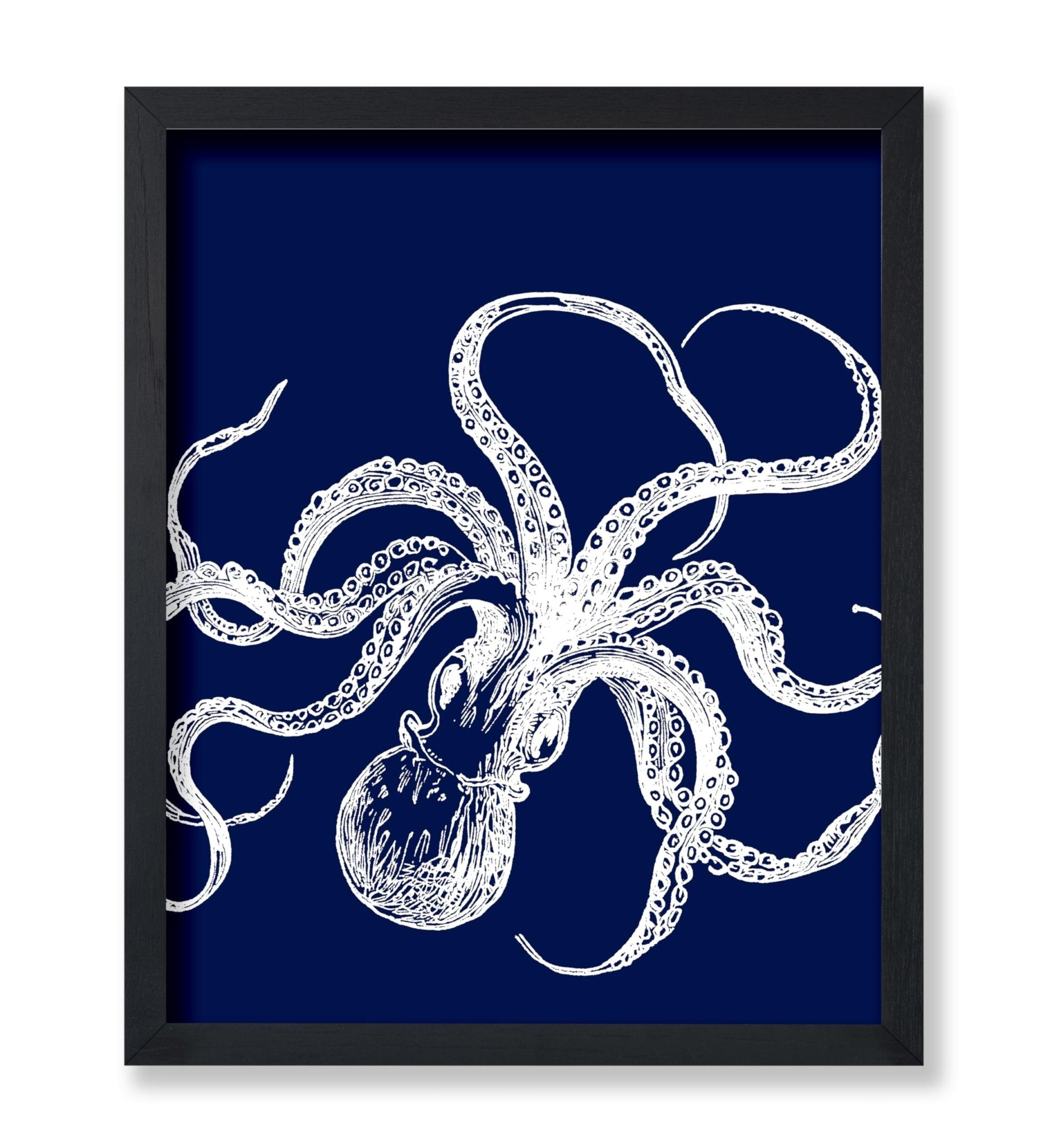 Octopus No1
