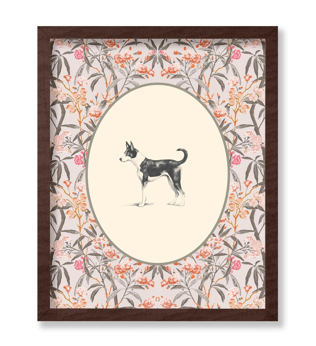 Basenji Portrait