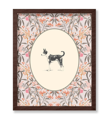 Basenji Portrait