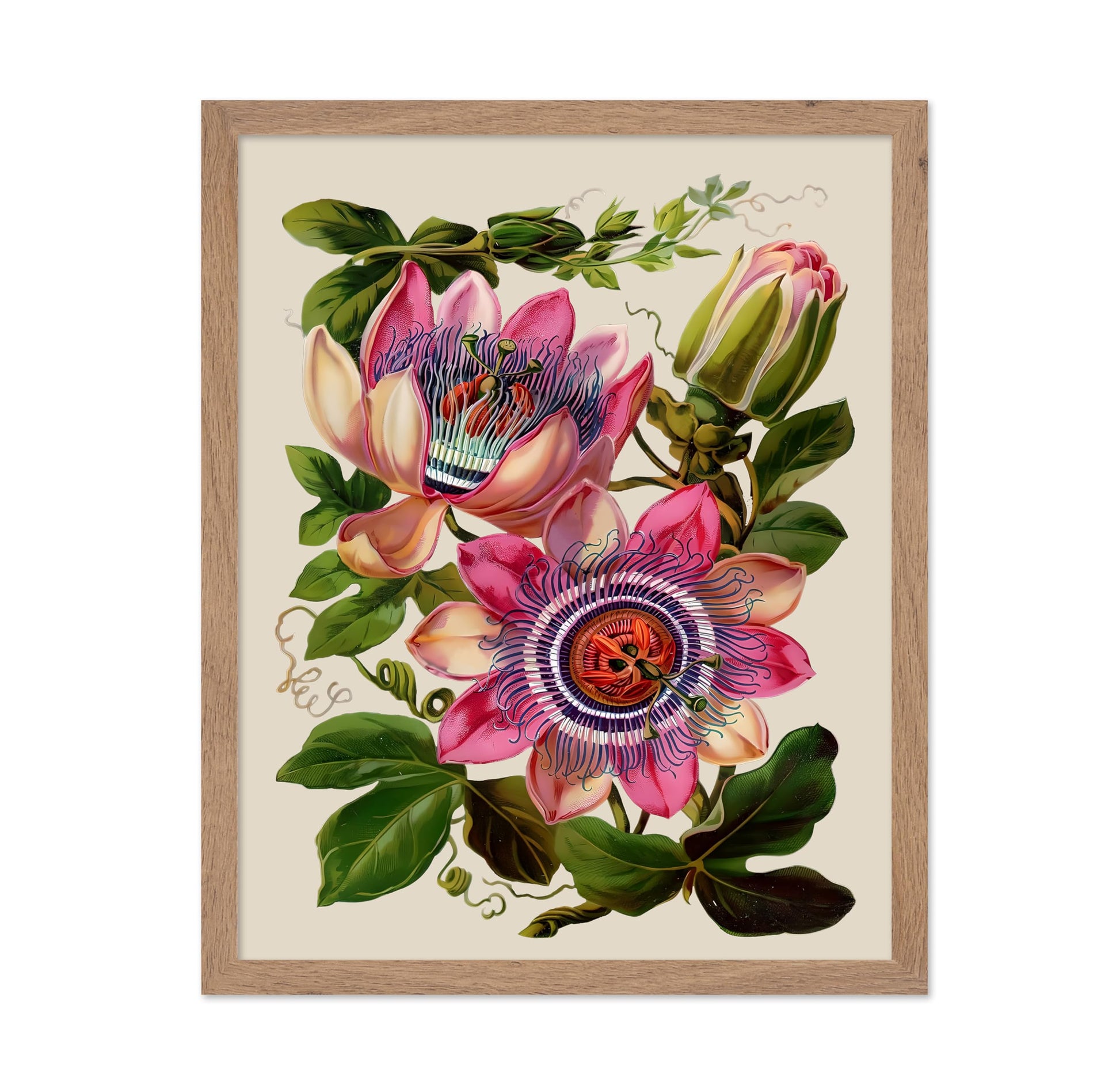 Passion Flower No2