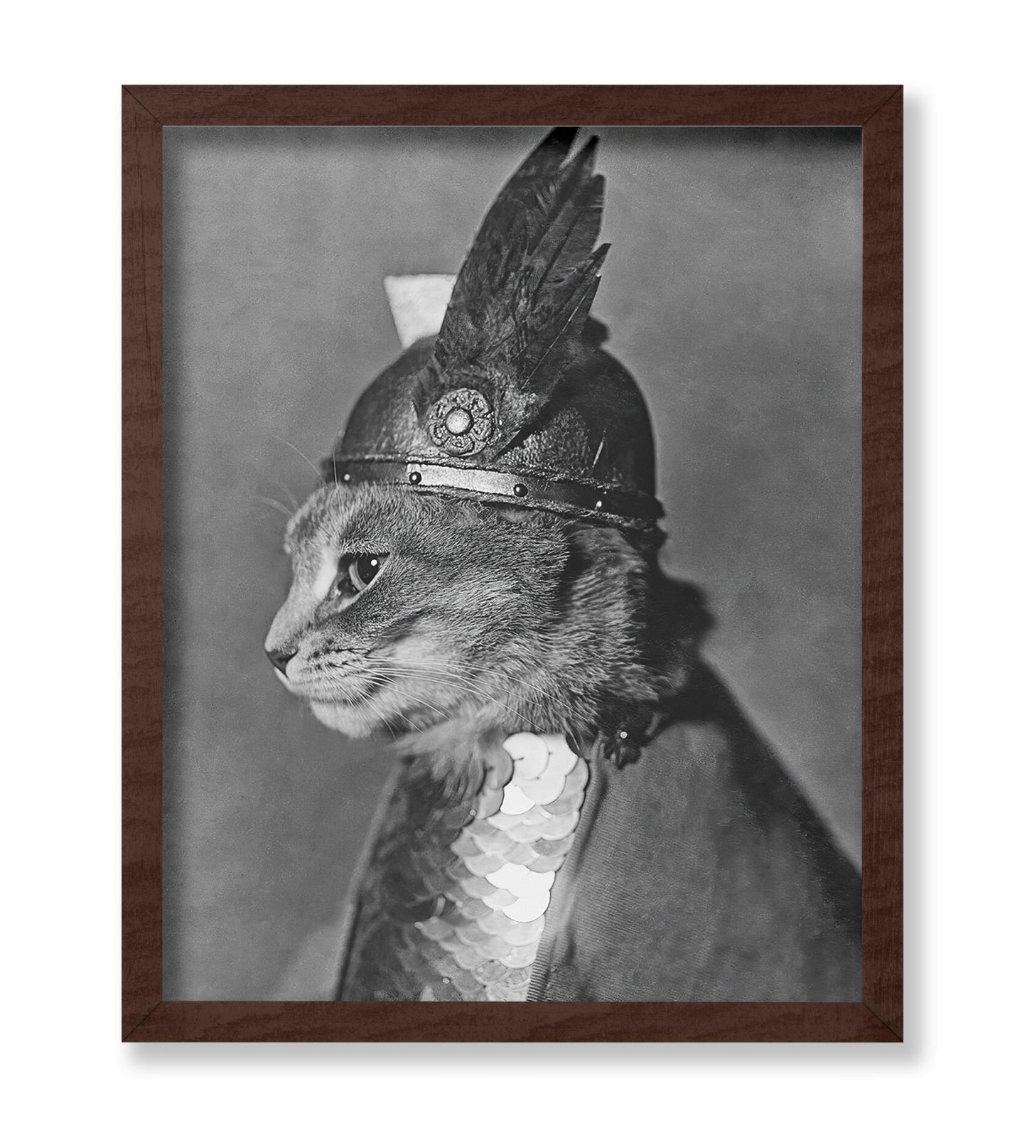 Brunnhilde The Cat